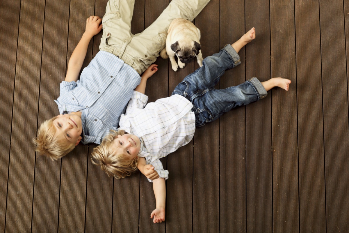 Young boys lying on a stained wood deck with a pug puppy between them